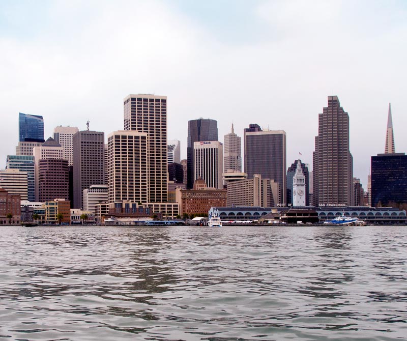 The New Credit Company