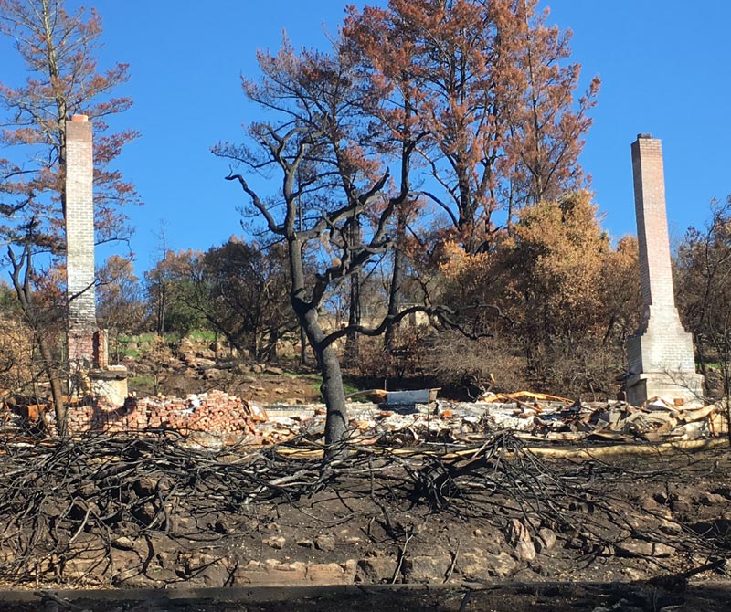 The New Credit Company